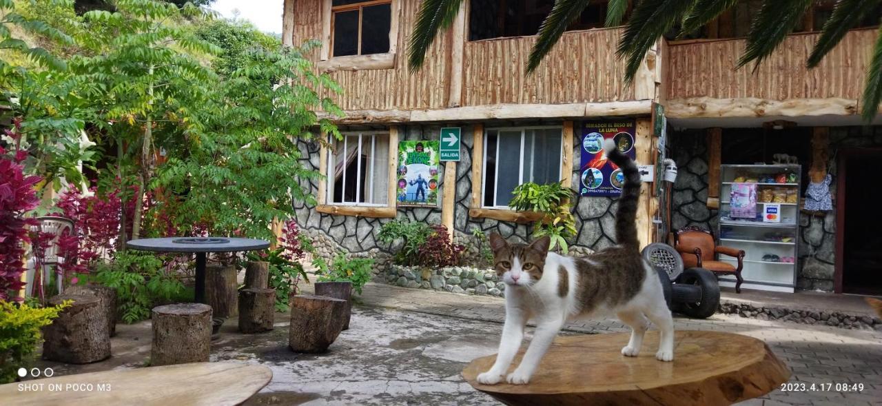 Ricky'S House Apartment Baños Екстериор снимка