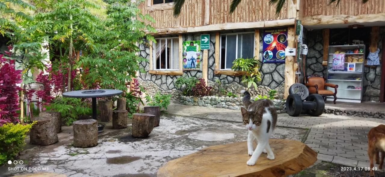 Ricky'S House Apartment Baños Стая снимка
