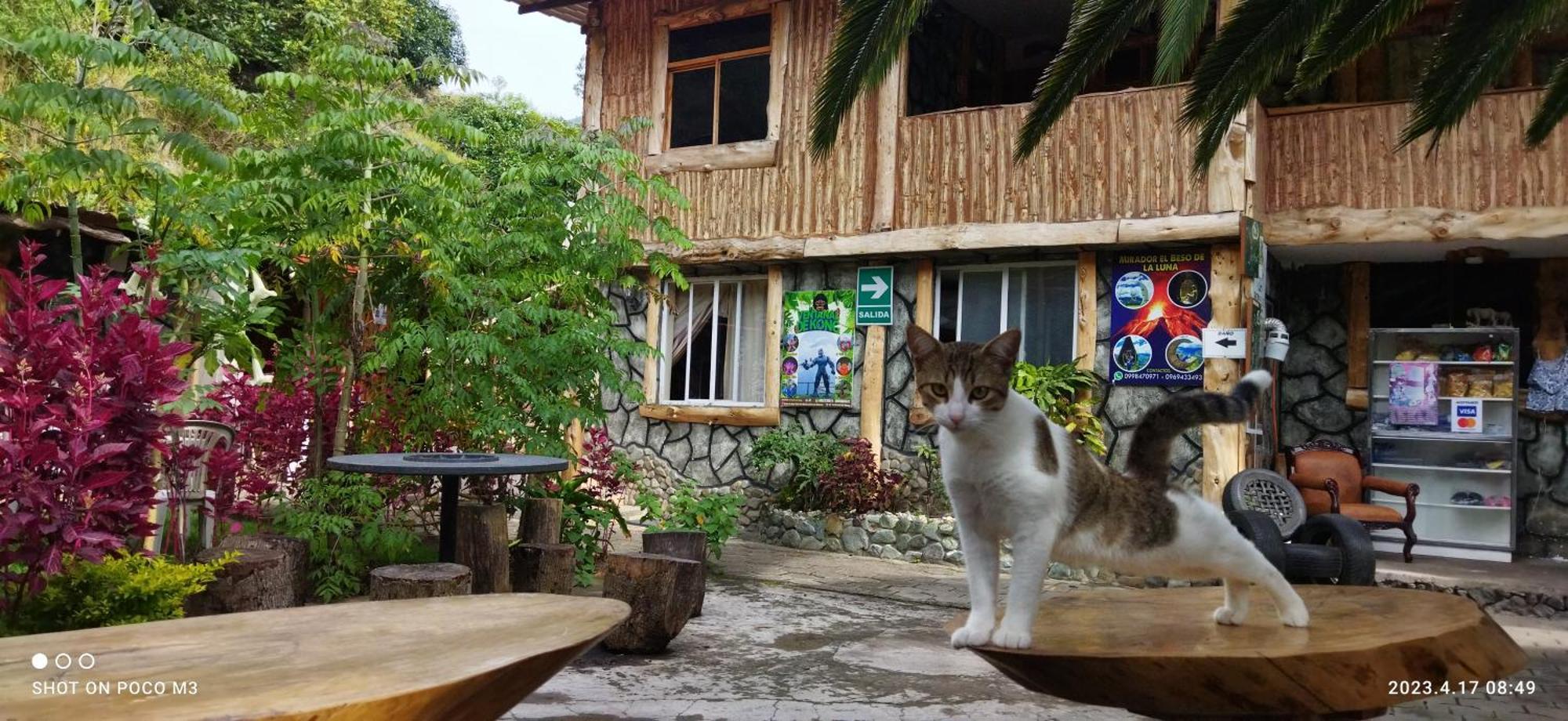 Ricky'S House Apartment Baños Стая снимка